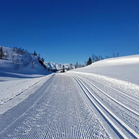 Mountainside In Voss With A Great View * Skulestadmo