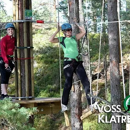 Mountainside In Voss With A Great View *